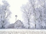 Webshots雪景