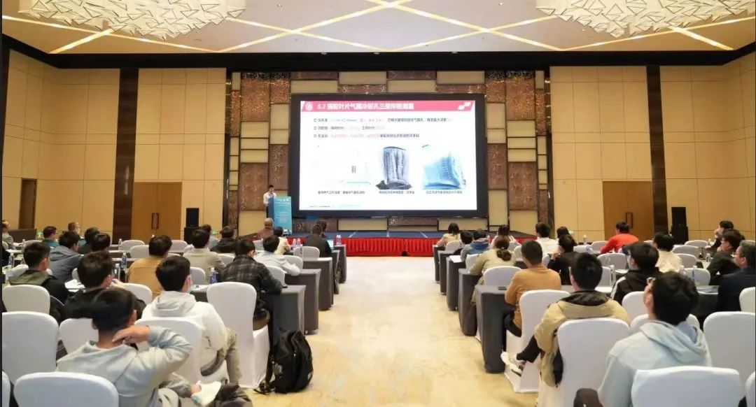 1702547353374787.jpg 1702547353374787.jpg